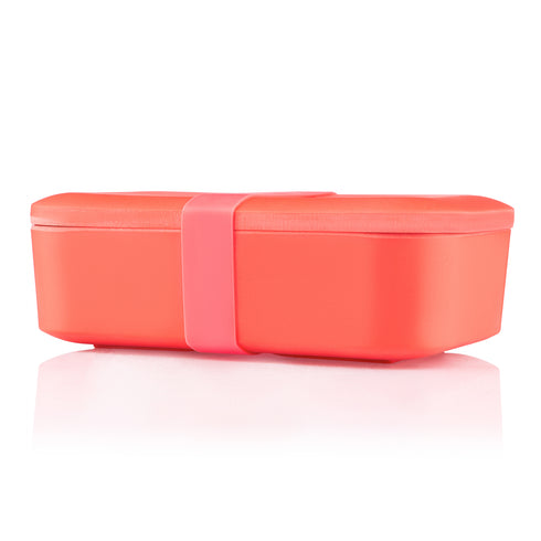 Bamboo Bento Snax Gift set