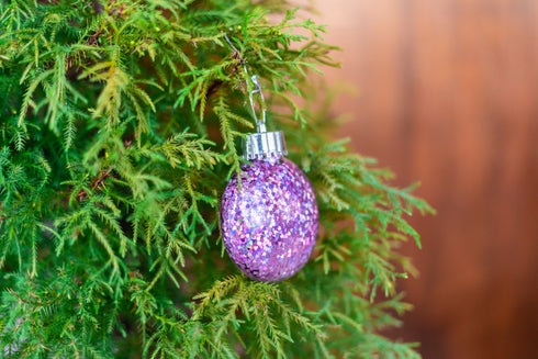 Confetti Ornament